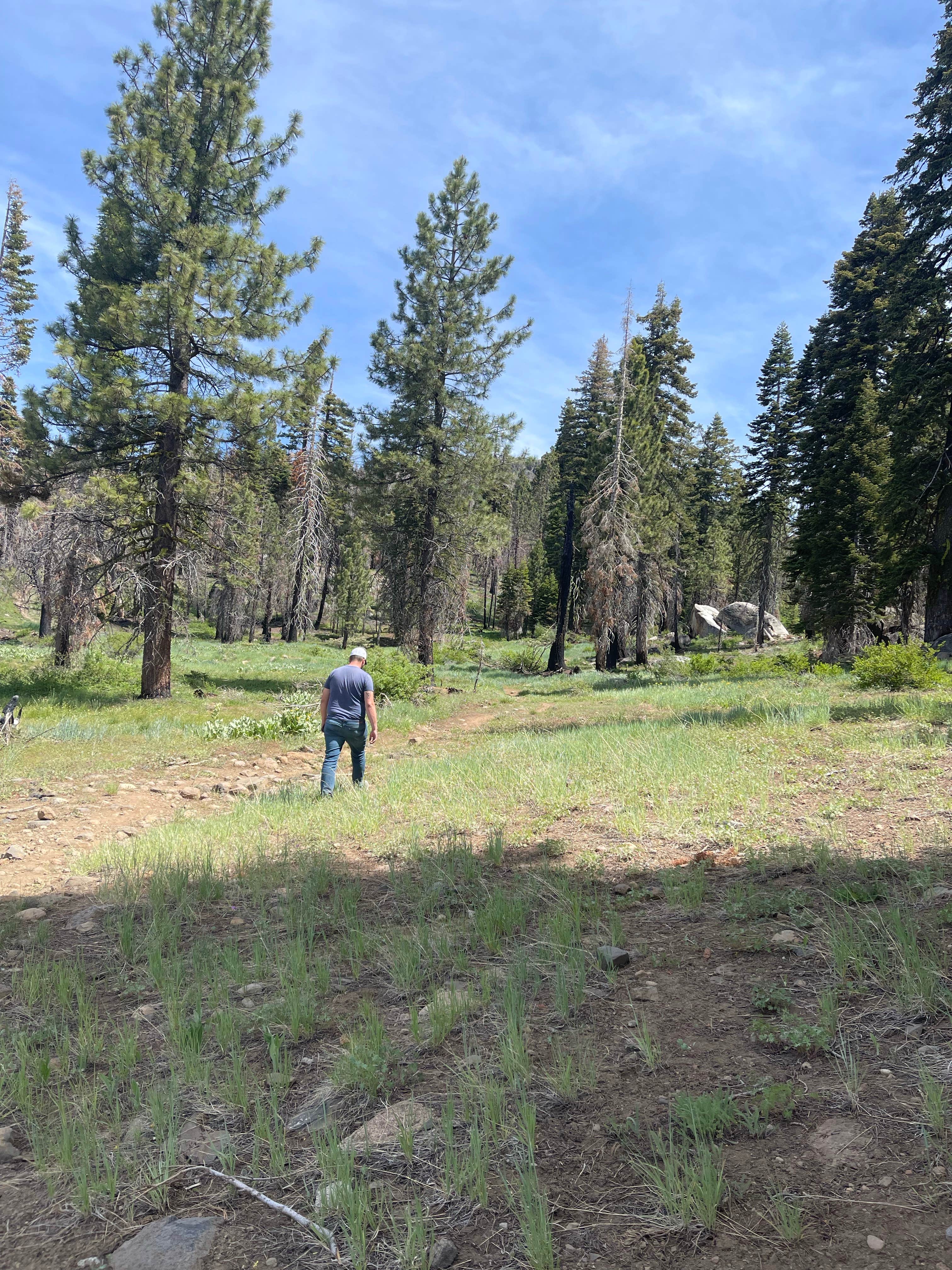 Camper submitted image from Clark Fork Campground - 5