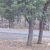 Review photo of Trailer Village RV Park — Grand Canyon National Park by Matthew K., June 25, 2021