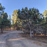 Review photo of Trailer Village RV Park — Grand Canyon National Park by Matthew K., June 25, 2021