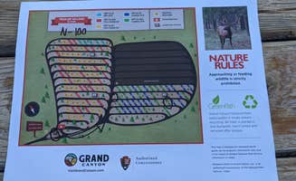 Matthew K.'s photo of camping with a horse at Trailer Village RV Park — Grand Canyon National Park near Kaibab National Forest