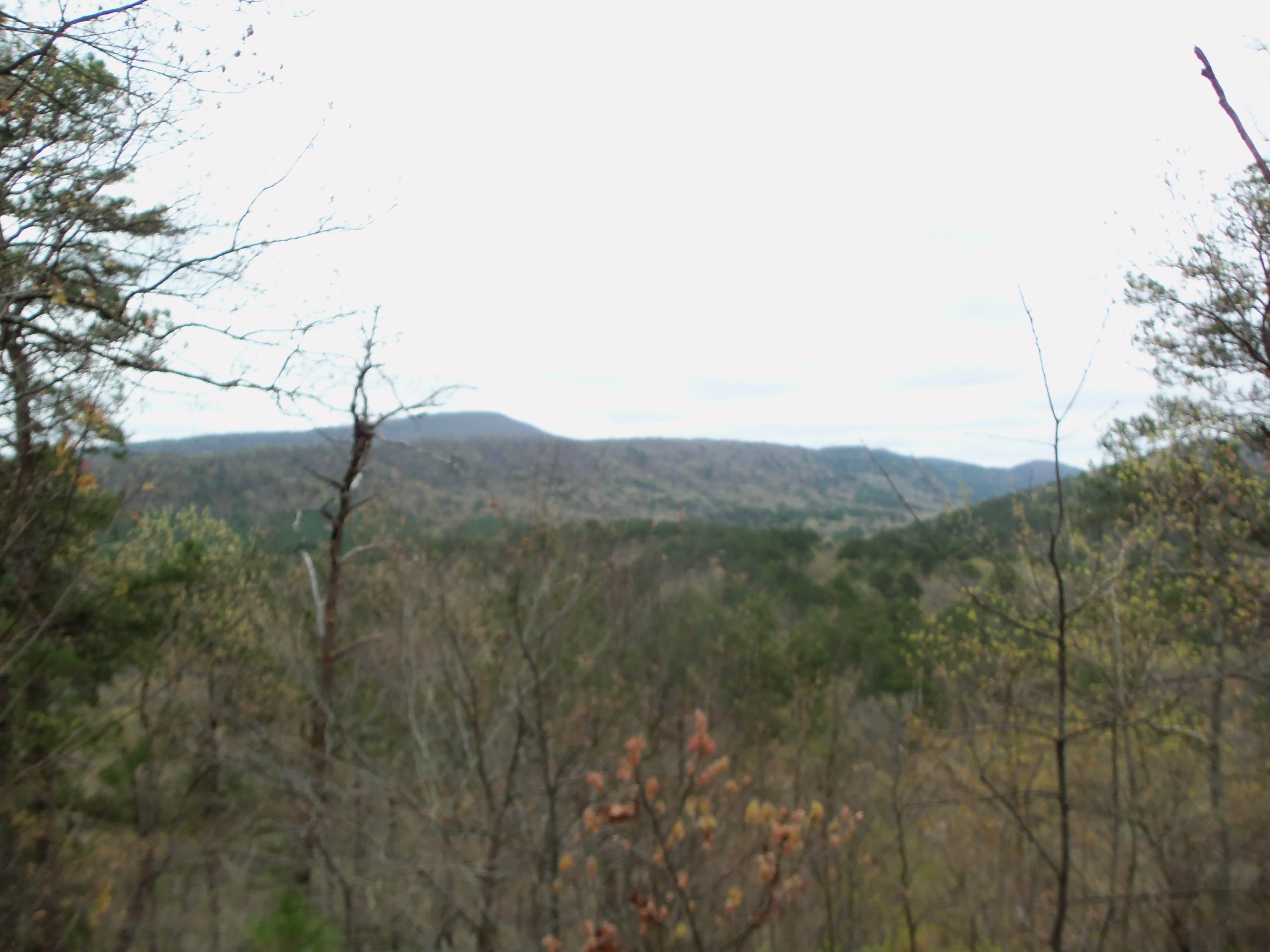 Camper-submitted photo at Shady Lake Campground near Gillham Lake