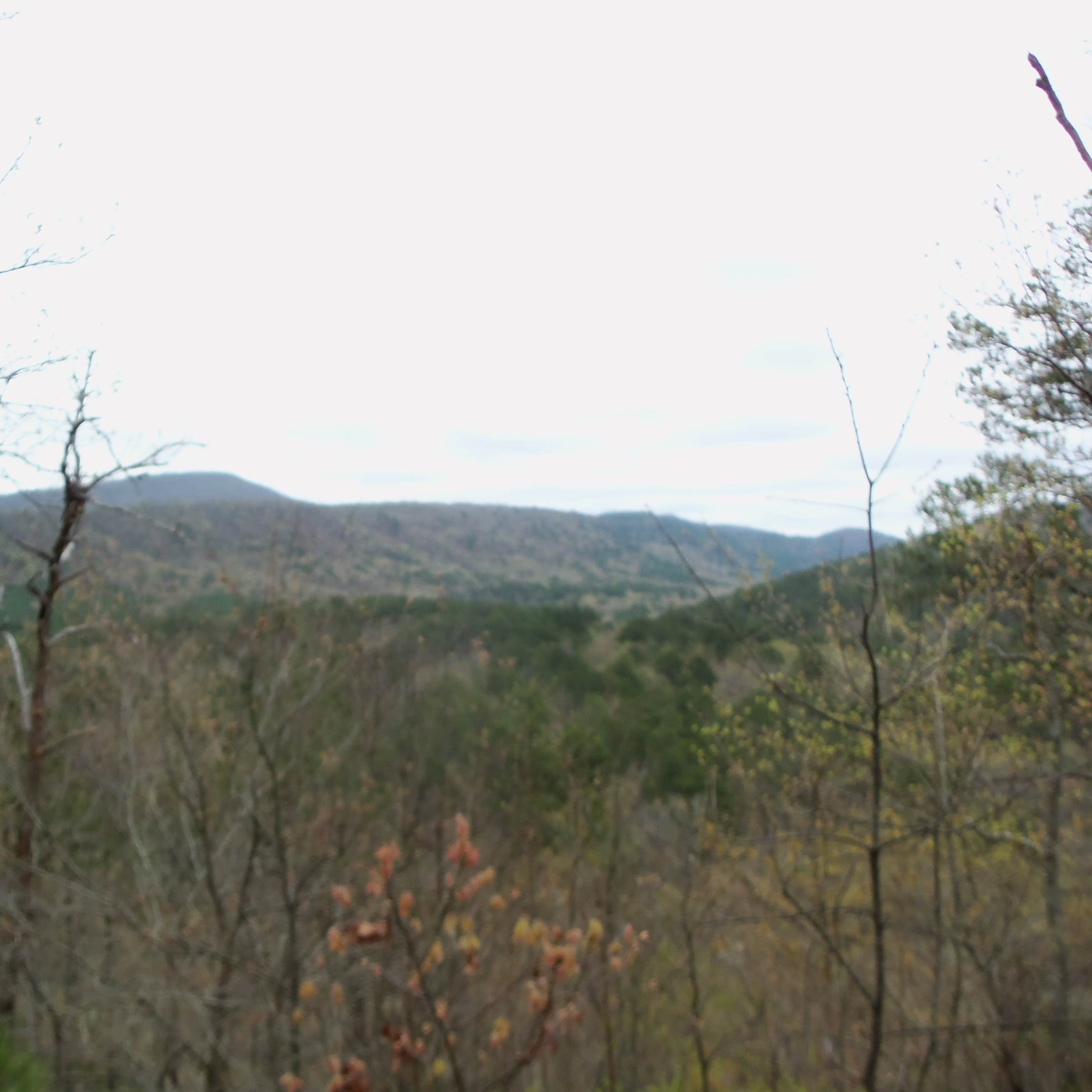 Shady Lake Campground Camping The Dyrt