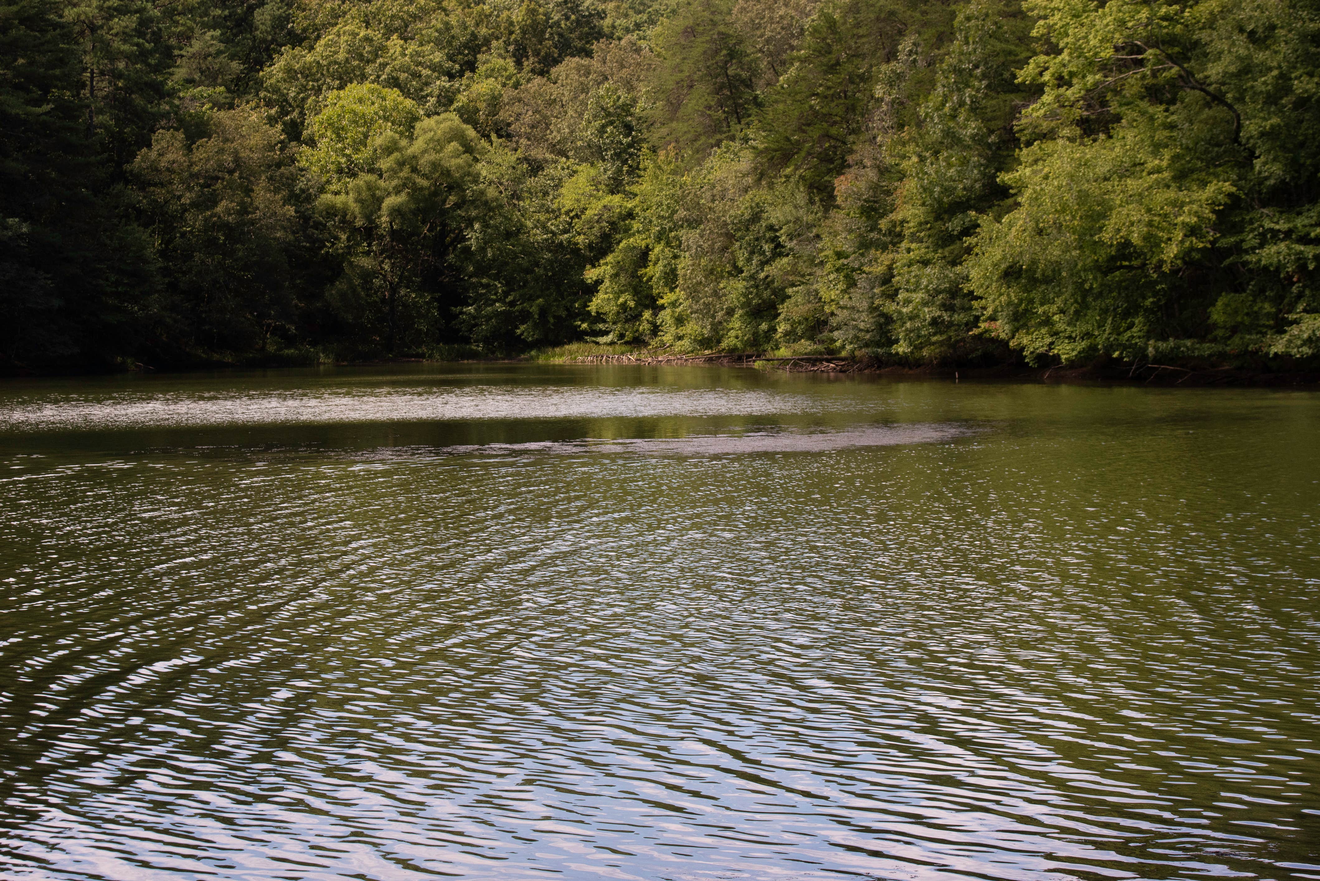 Camper submitted image from Basecamp at Camp Mountain Lake Retreats - PERMANENTLY CLOSED - 5