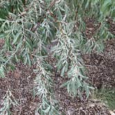 Review photo of New Cottonwood — Ute Lake State Park by gaetan S., June 25, 2021