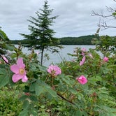 Review photo of Washington Creek Campground — Isle Royale National Park by Matthew G., June 25, 2021