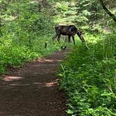 Review photo of Washington Creek Campground — Isle Royale National Park by Matthew G., June 25, 2021