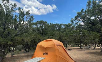 Camping near Turtle Rock Campground: Arrowhead Point Resort, Buena Vista, Colorado