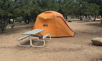 Camping near Turtle Rock Campground: Arrowhead Point Resort, Buena Vista, Colorado
