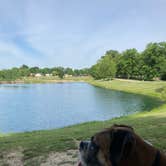 Review photo of Loveberry's Funny Farm Campground by Lisa D., June 25, 2021