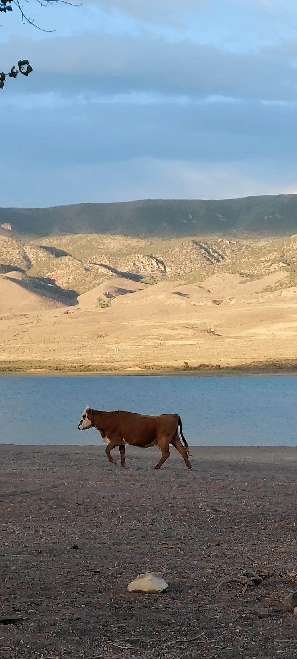 Camper-submitted photo at Otter Creek, Tamerisk Point Rec Site near Fishlake National Forest