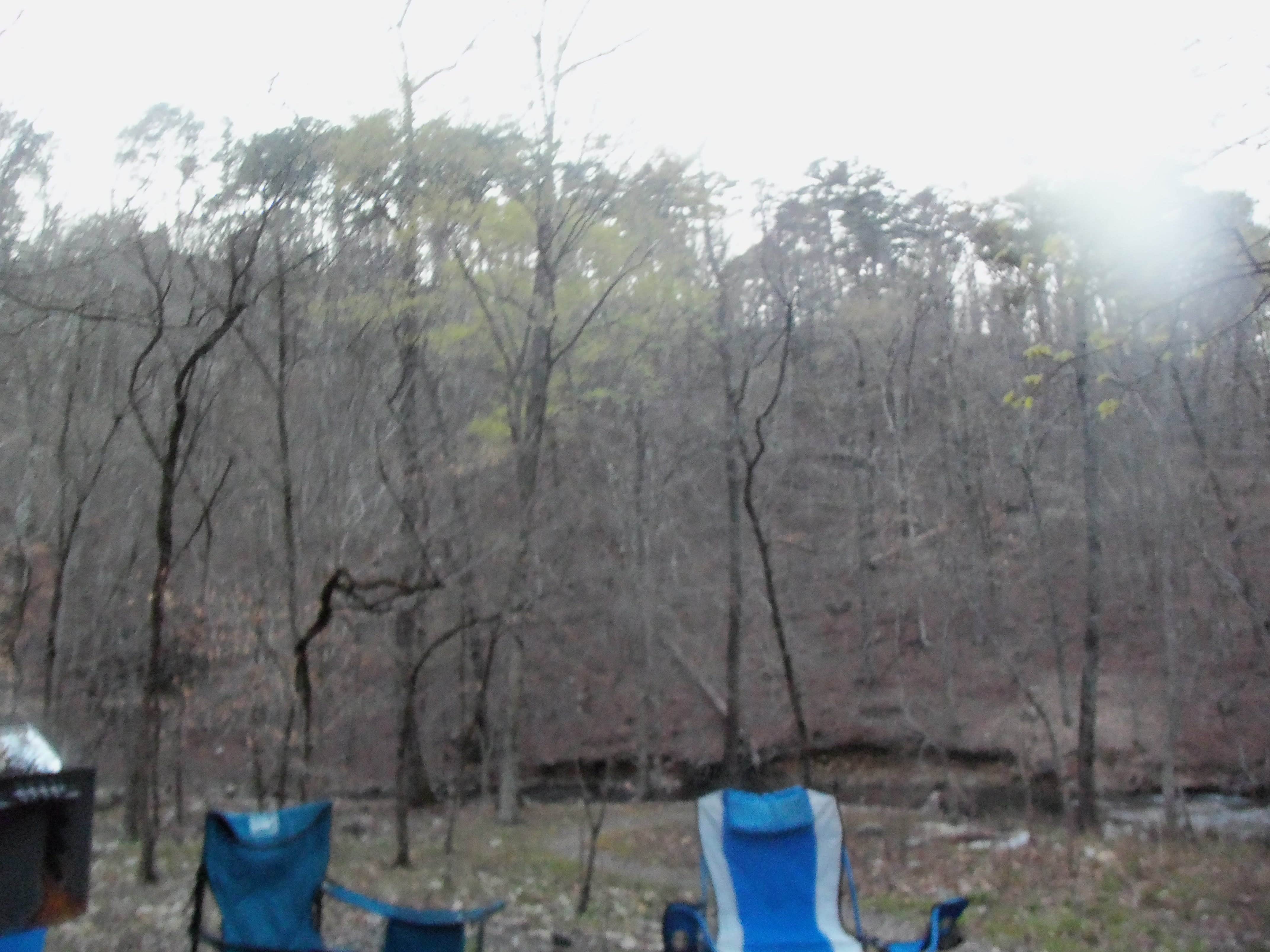 Julie D.'s photo at Shady Lake Campground near Vandervoort, AR
