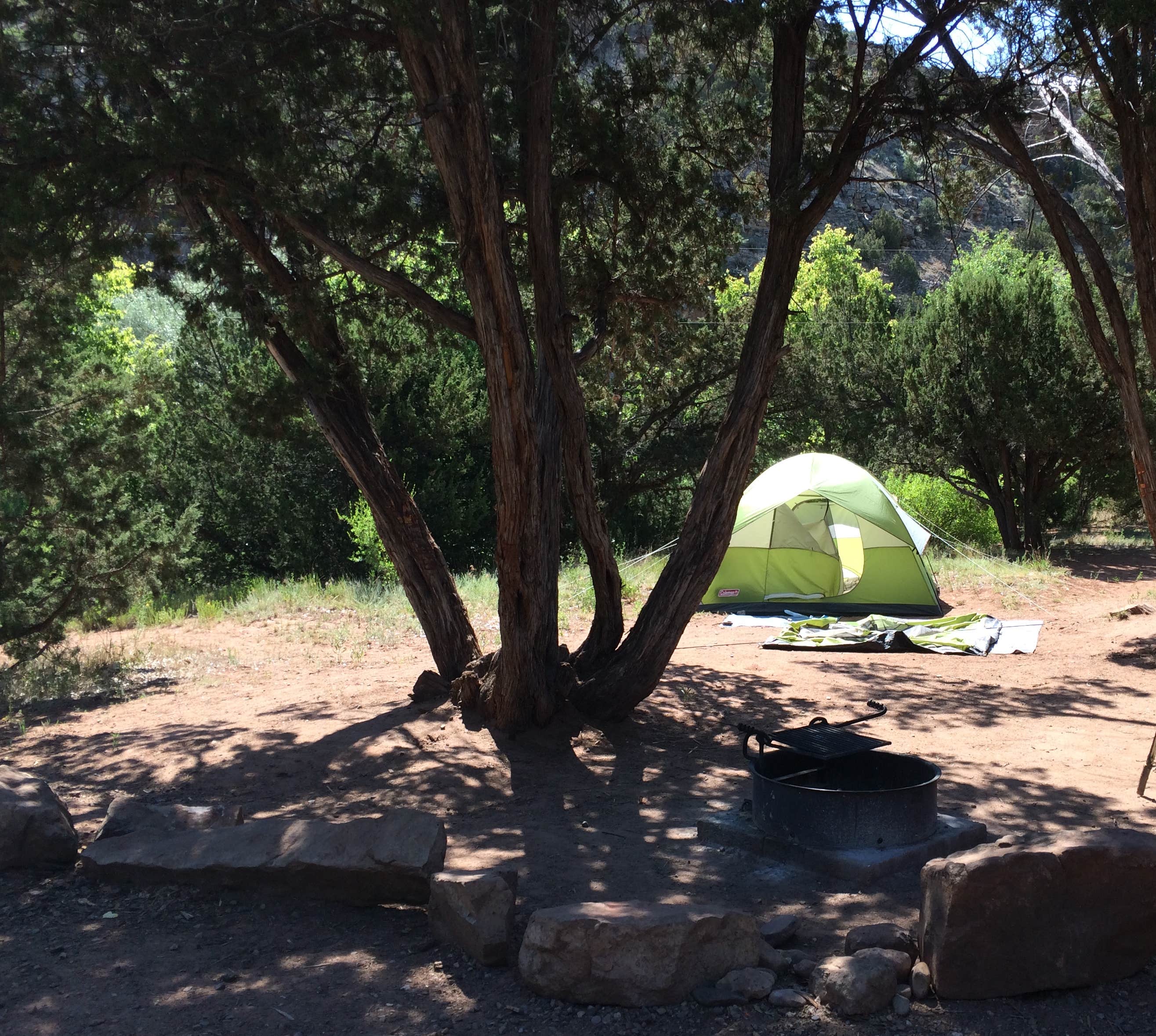 Camper submitted image from Villanueva State Park Campground - 4