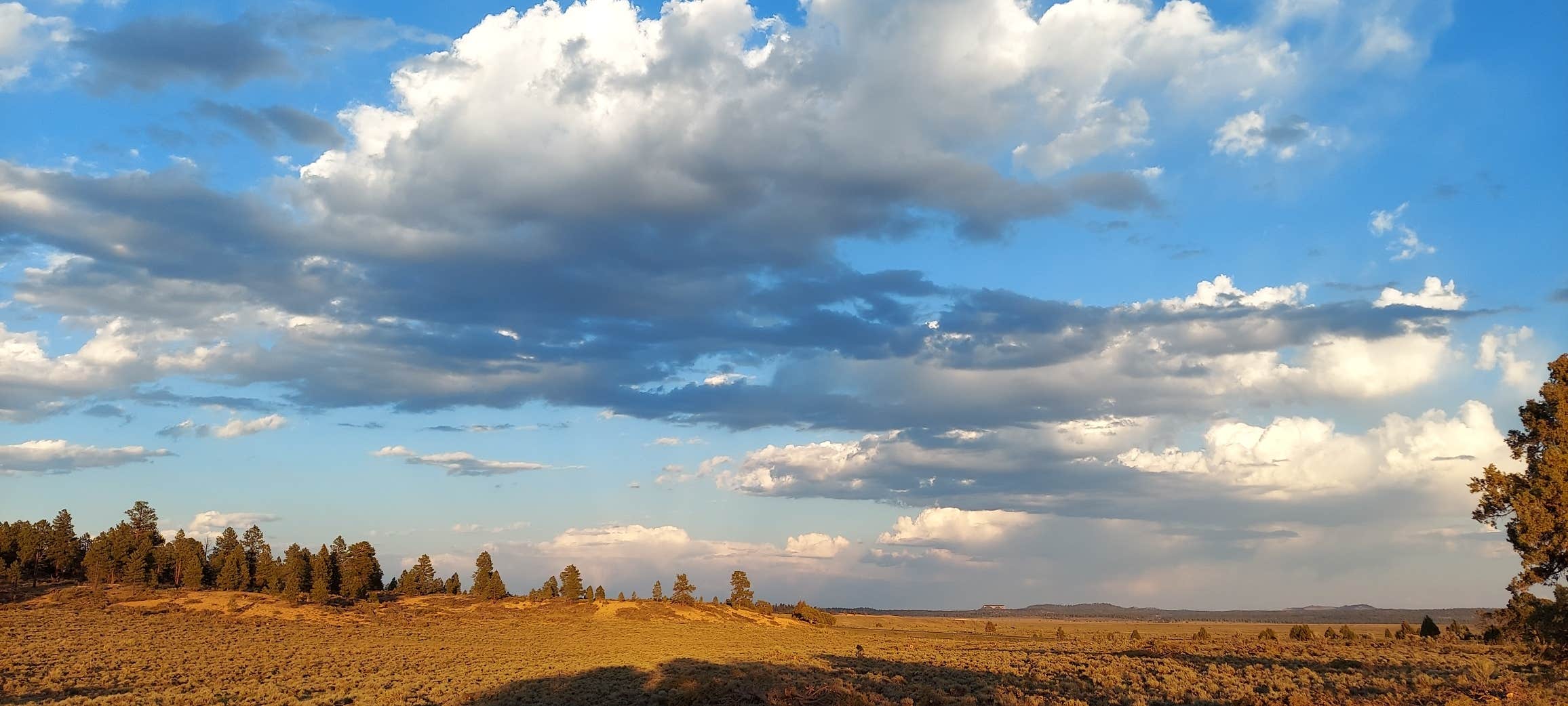 Cat F.'s photo of a dispersed camping area at Otter Creek, Tamerisk Point Rec Site near Sevier, UT
