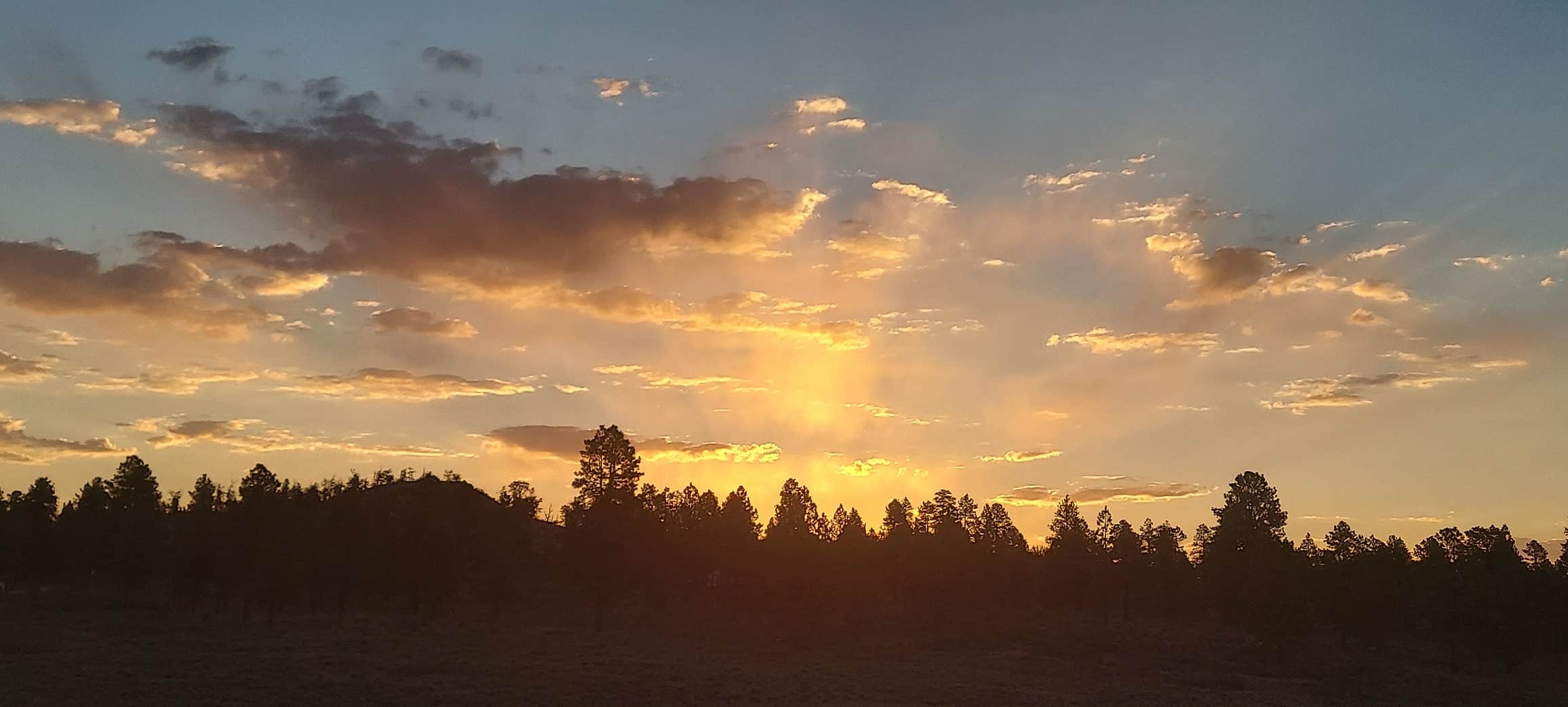 Cat F.'s photo of a dispersed camping area at Otter Creek, Tamerisk Point Rec Site near Beaver, UT