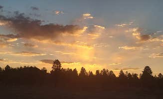 Cat F.'s photo of a dispersed camping area at Otter Creek, Tamerisk Point Rec Site near Meadow, UT