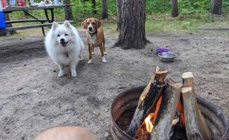Jon S.'s photo of camping with pets at Twin Oaks RV Campground and Cabins in Michigan