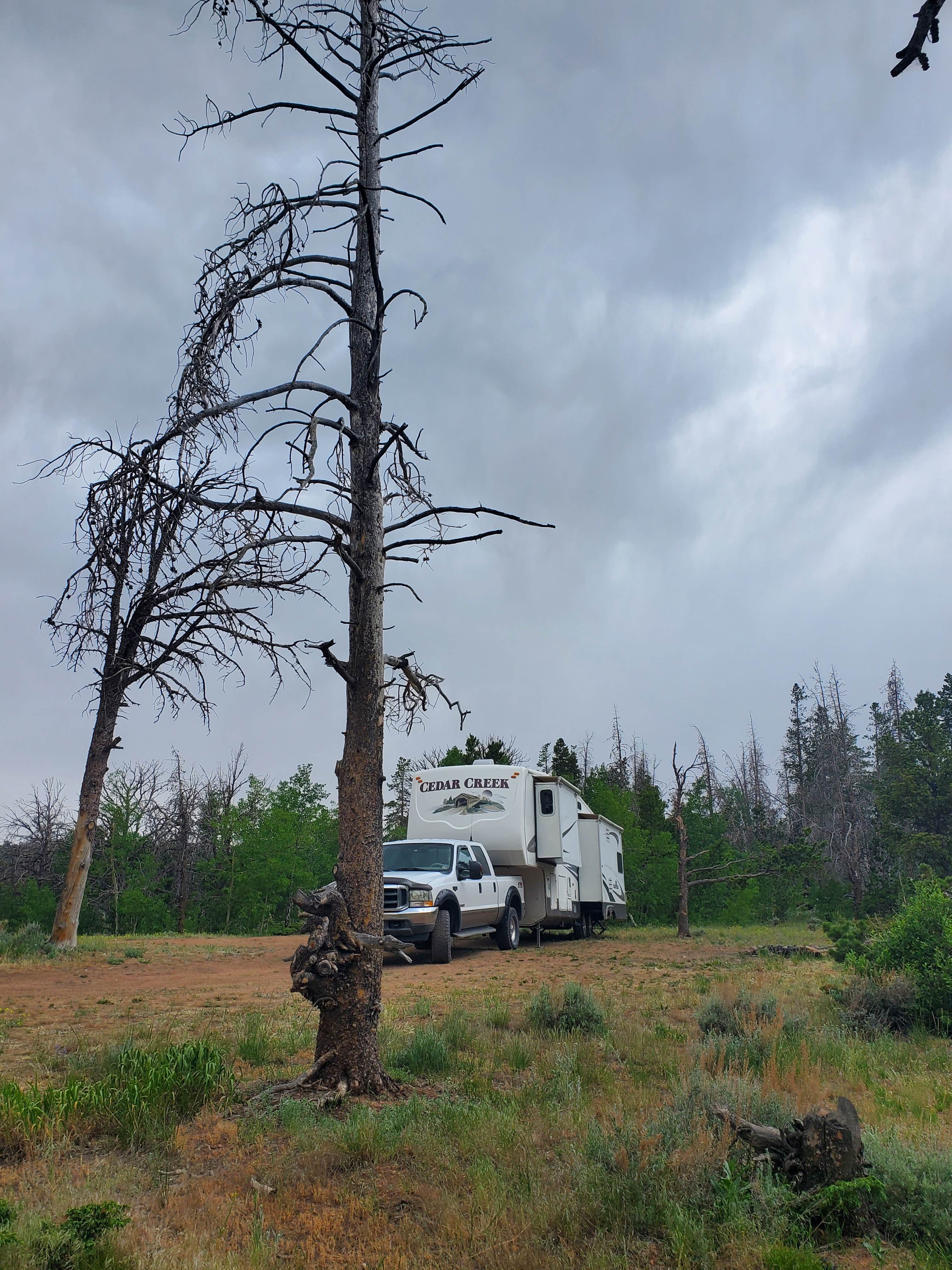 Always C.'s photo of rv camping at Pole Mountain Dispersed Camping near Laramie, WY