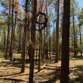 Review photo of Lockett Meadow Dispersed Camping by Alex S., June 25, 2021