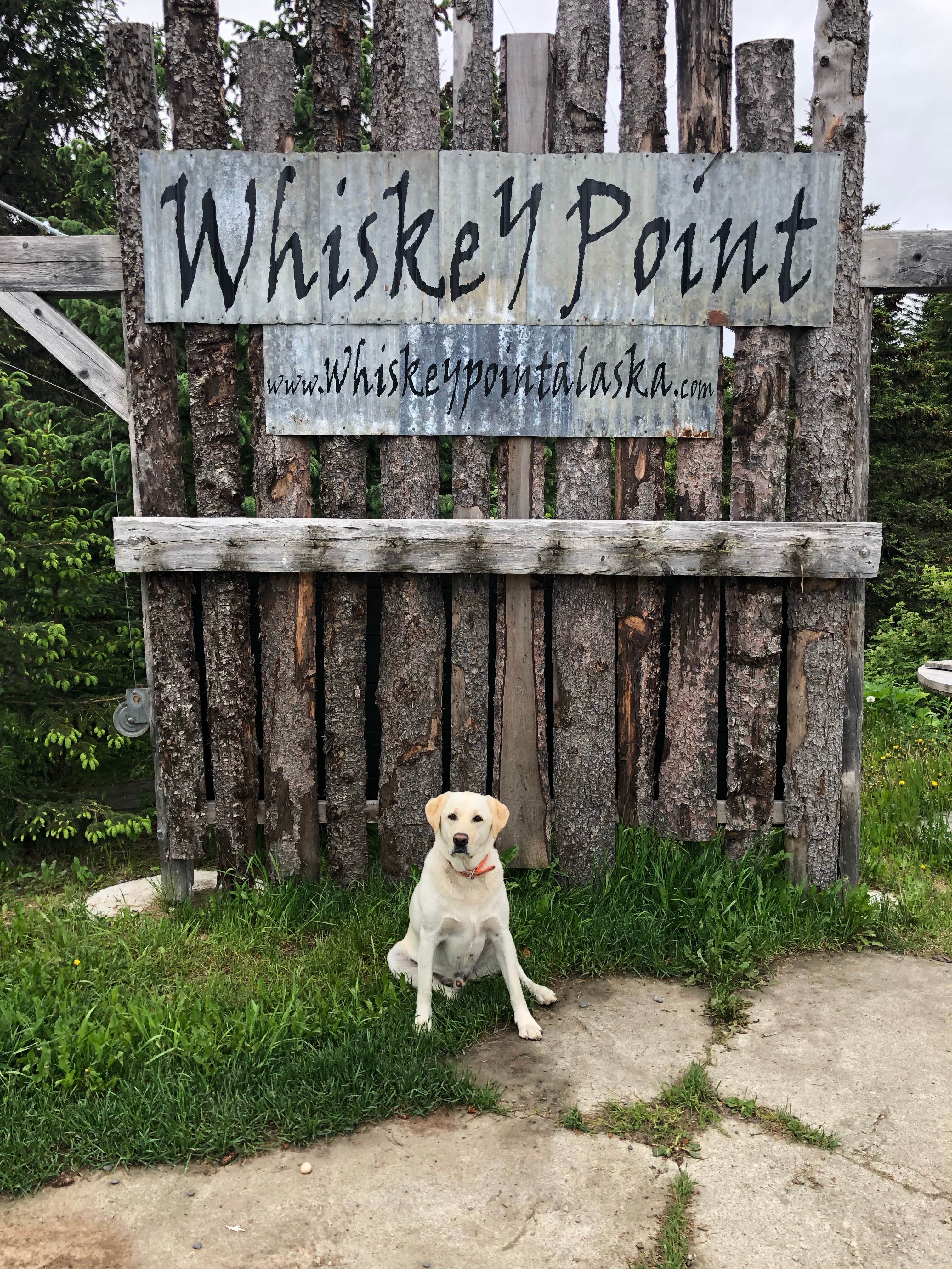 Michael H.'s photo of camping with pets at Whiskey Point Cabins & RV Park near Ninilchik, AK