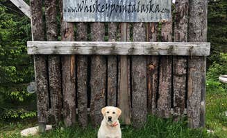 Michael H.'s photo of camping with pets at Whiskey Point Cabins & RV Park near Ninilchik, AK