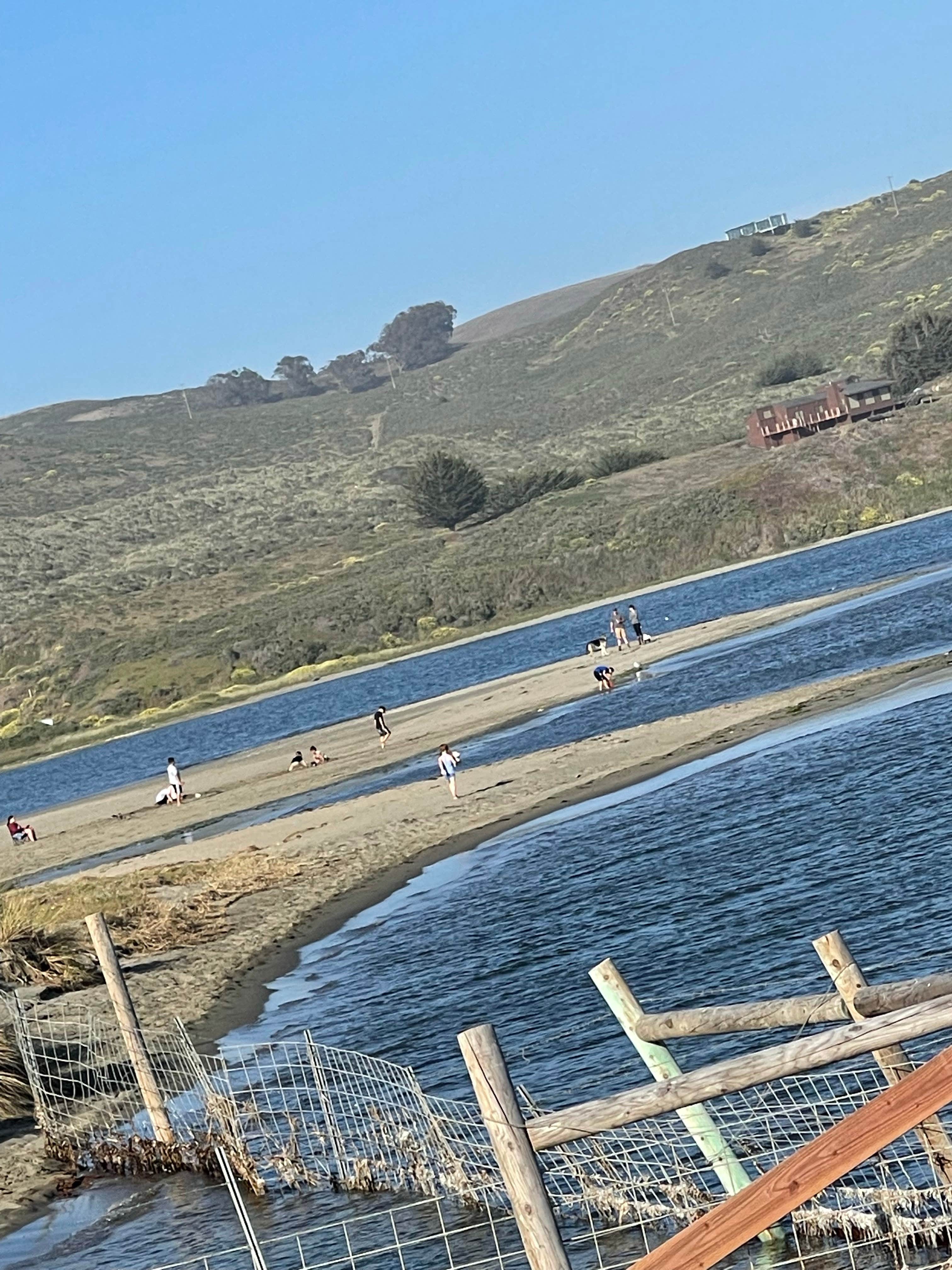 Camper submitted image from Lawson's Landing - 3