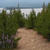 Review photo of Prospector Campground by Mary G., June 25, 2021