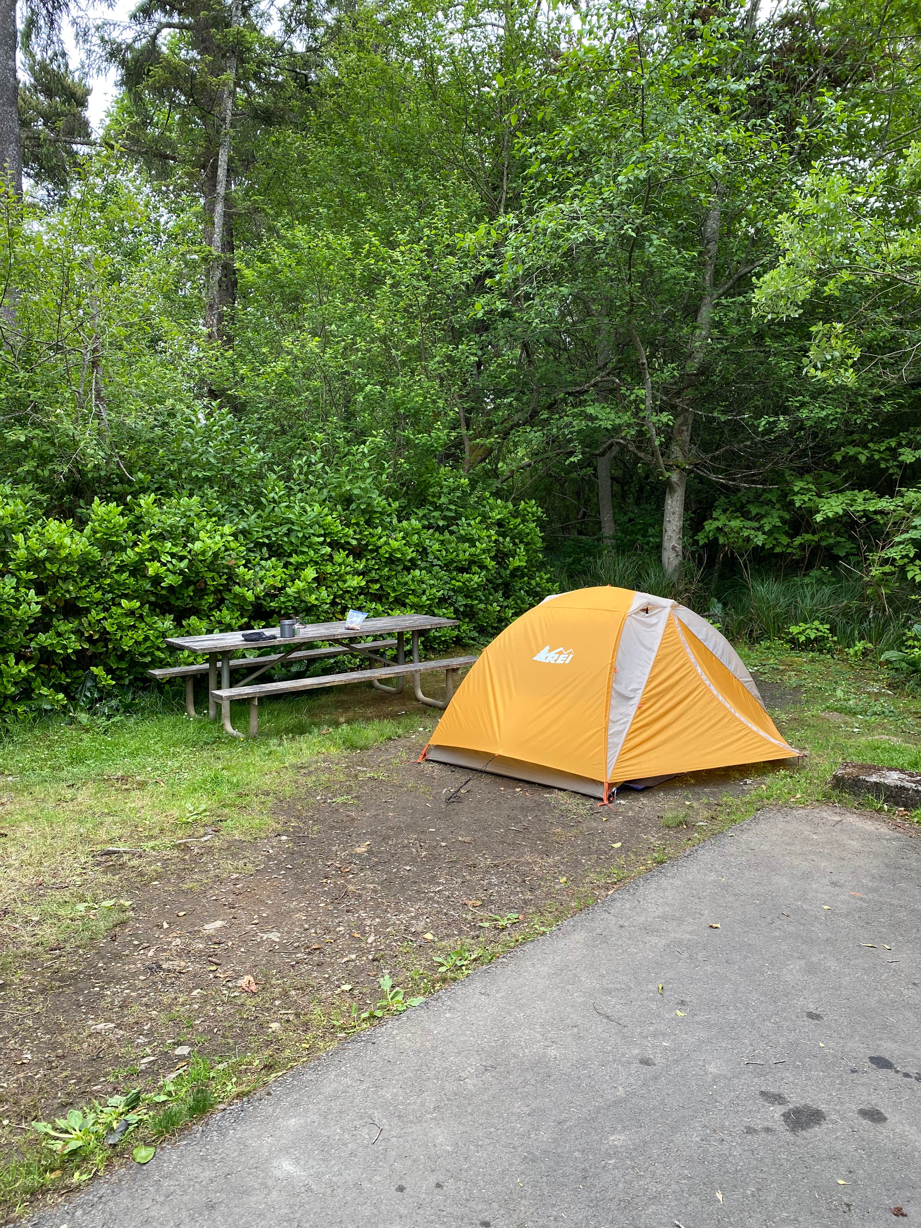 Annie C.'s photo at Devil’s Lake State Recreation Area Campground near Agate Beach, OR
