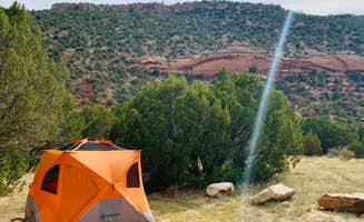 Kim M.'s photo at Mills Canyon Campground near Mills, NM