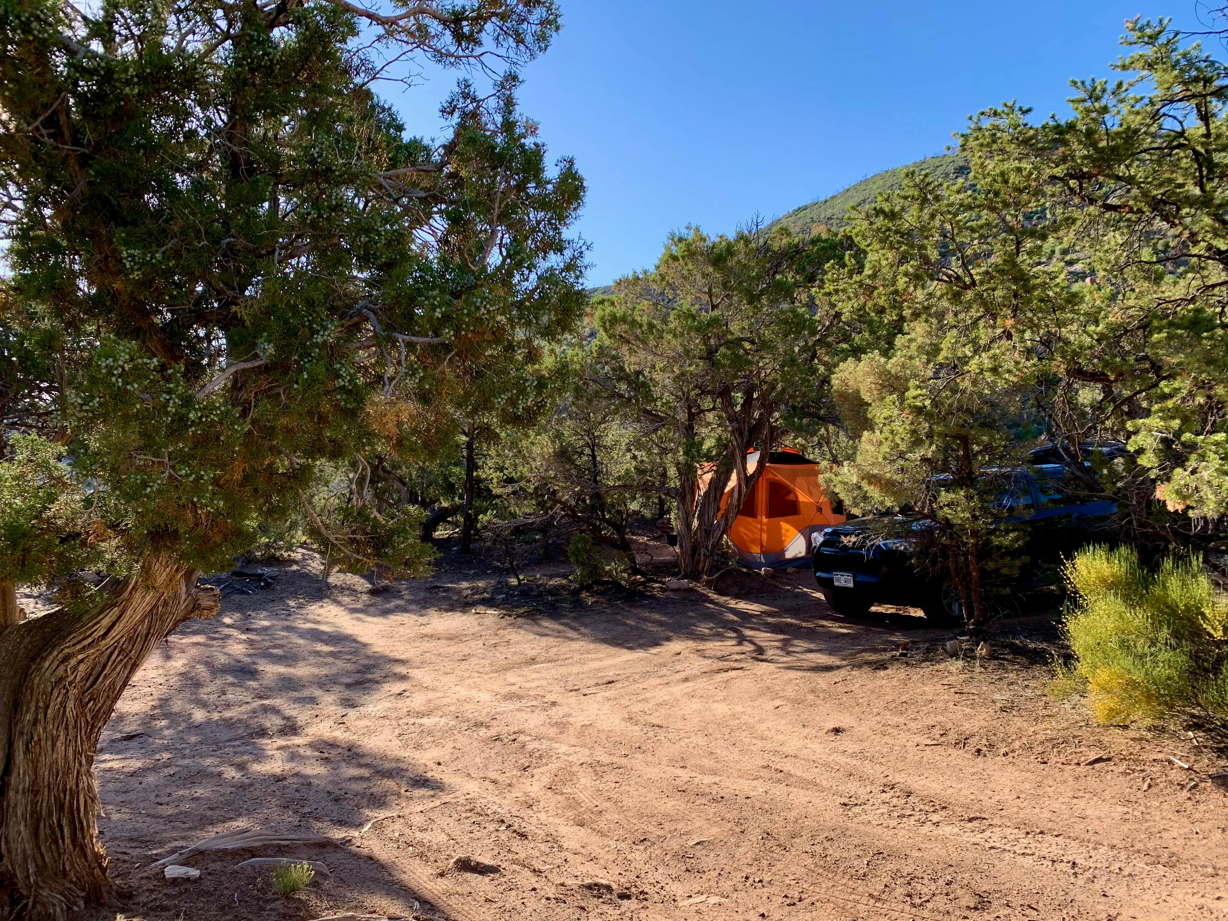 Kim M.'s photo of a dispersed camping area at Gateway Recreation Area Dispersed, BLM near Glade Park, CO