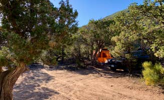 Kim M.'s photo at Gateway Recreation Area Dispersed, BLM in Colorado
