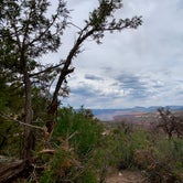 Review photo of Gateway Recreation Area Dispersed, BLM by Kim M., June 25, 2021