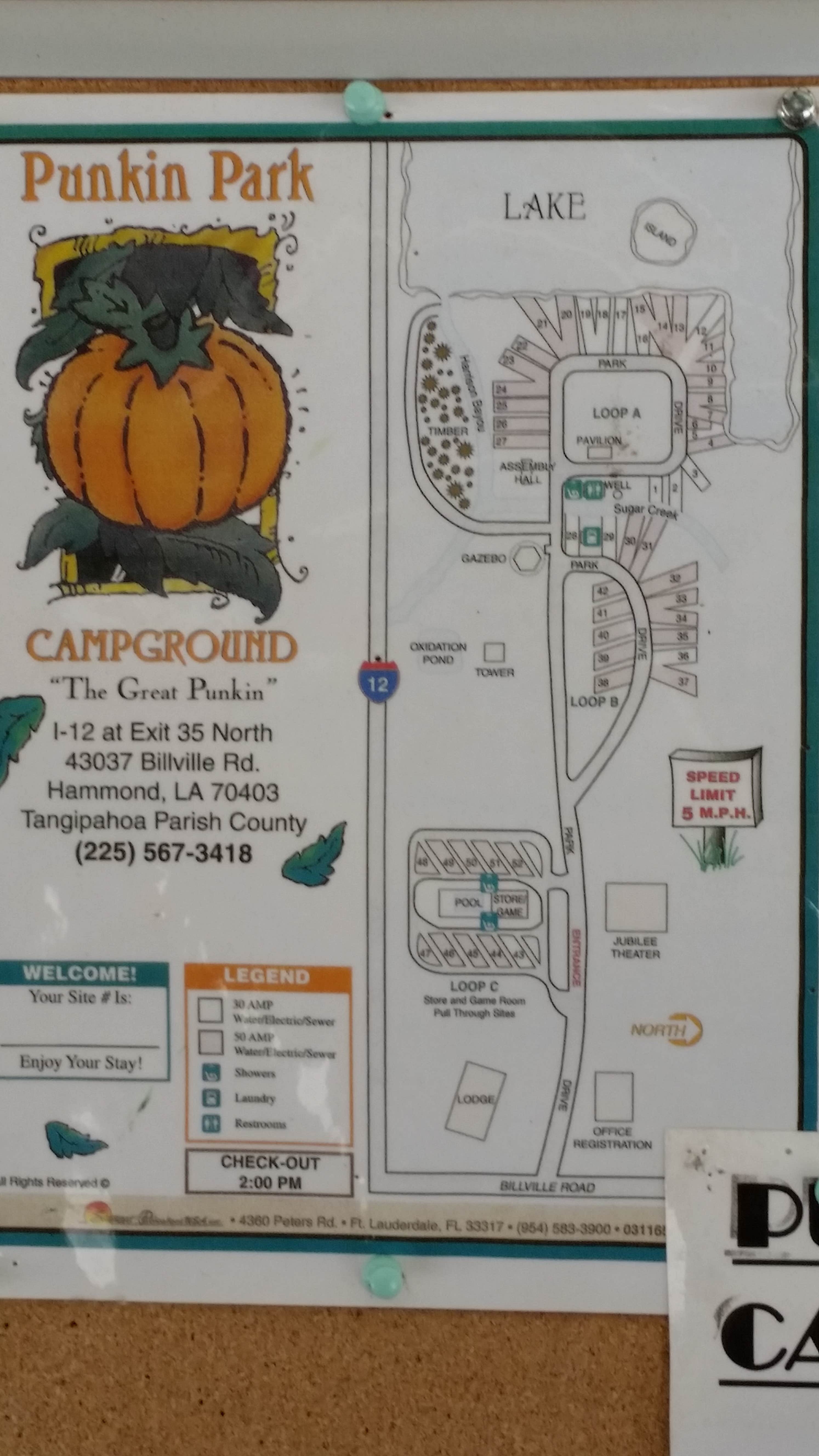 Camper-submitted photo at Punkin Park Campground near Springfield, LA