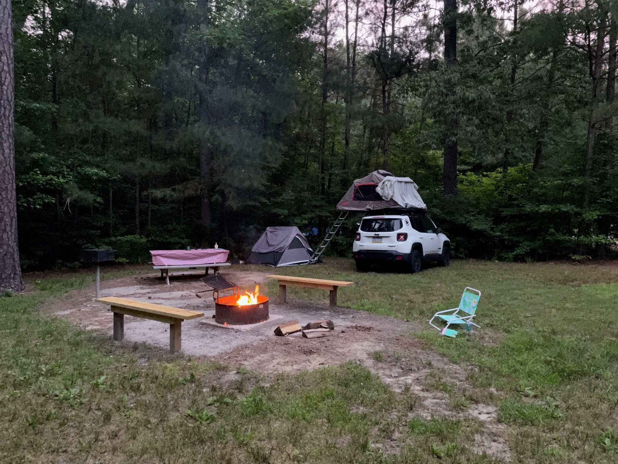 Camper submitted image from Redden State Forest Campground - 1