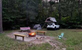 Tiffany M.'s photo at Redden State Forest Campground near Denton, MD