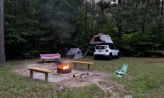 Camping near Outstanding Dreams Alpaca Farm: Redden State Forest Campground, Georgetown, Delaware