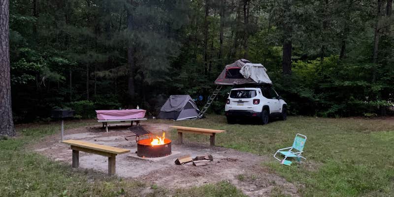 Camper submitted image from Redden State Forest Campground