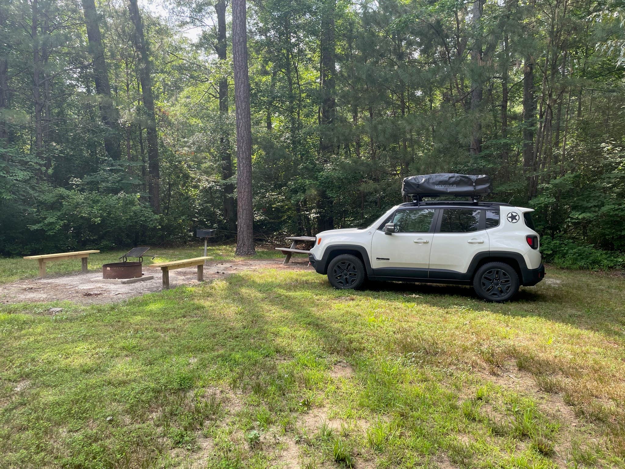 Camper-submitted photo at Redden State Forest Campground near Millville, DE