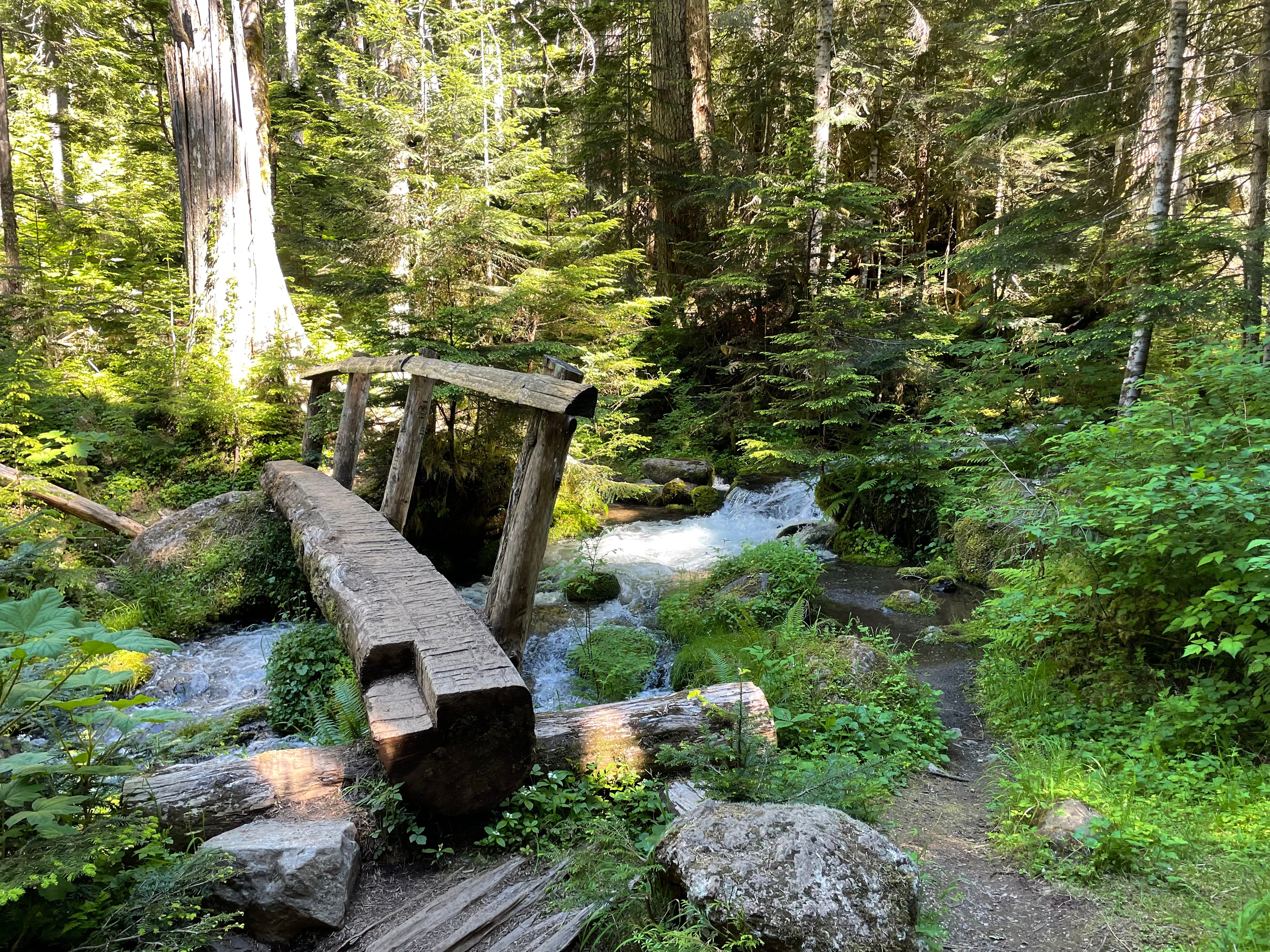 Camper submitted image from Lake Angeles — Olympic National Park - 1