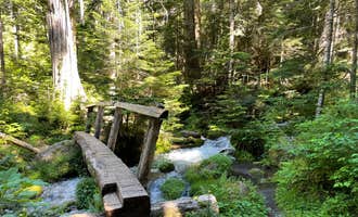 Camping near Deer Park Campground — Olympic National Park: Lake Angeles — Olympic National Park, Port Angeles, Washington