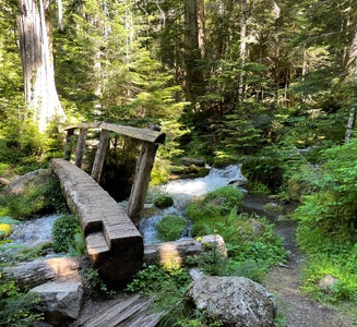 Camper-submitted photo from Lake Angeles — Olympic National Park