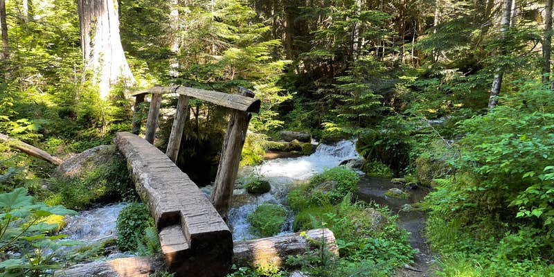 Camper submitted image from Lake Angeles — Olympic National Park