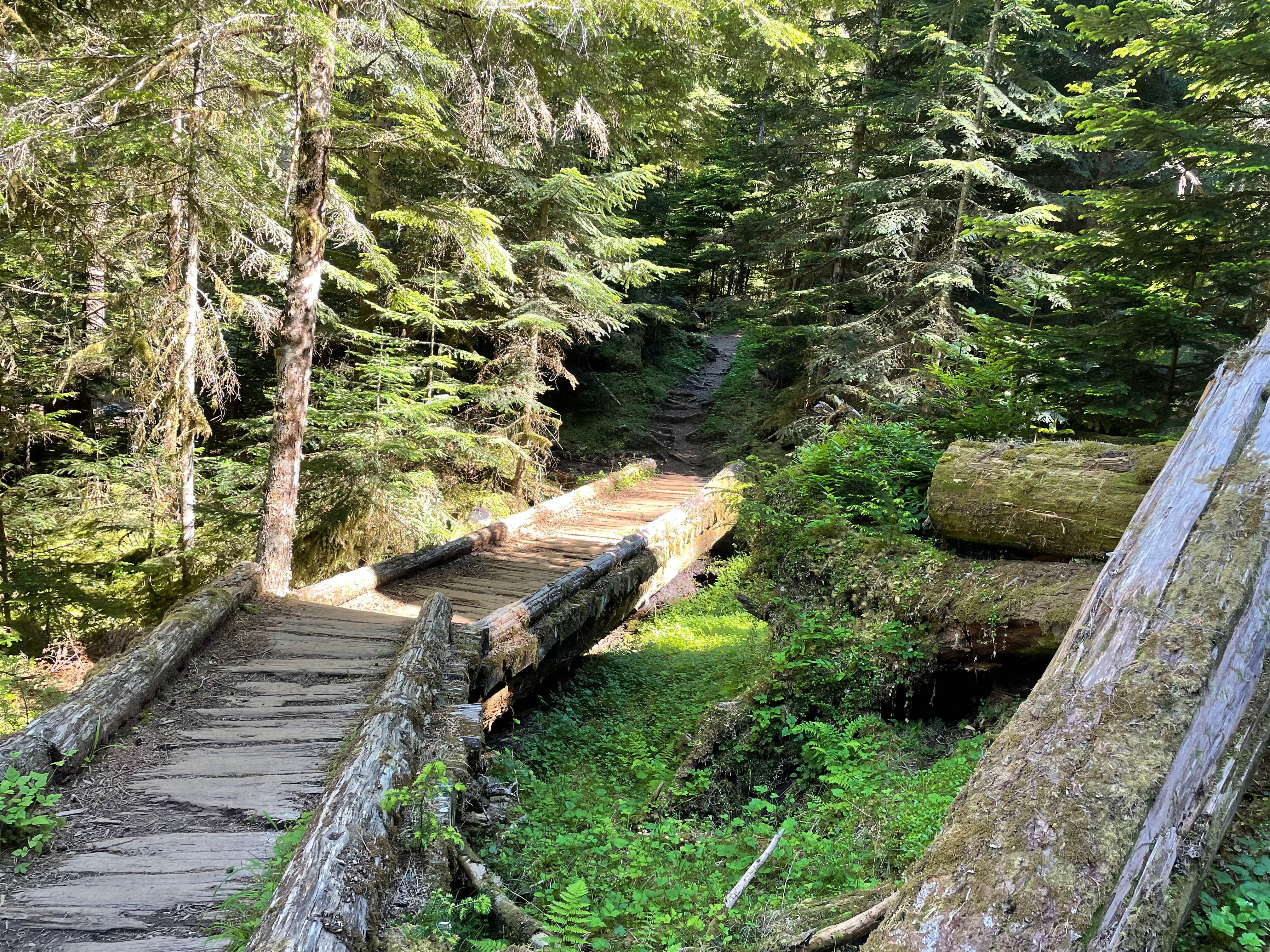 Camper-submitted photo at Lake Angeles — Olympic National Park near Quilcene, WA