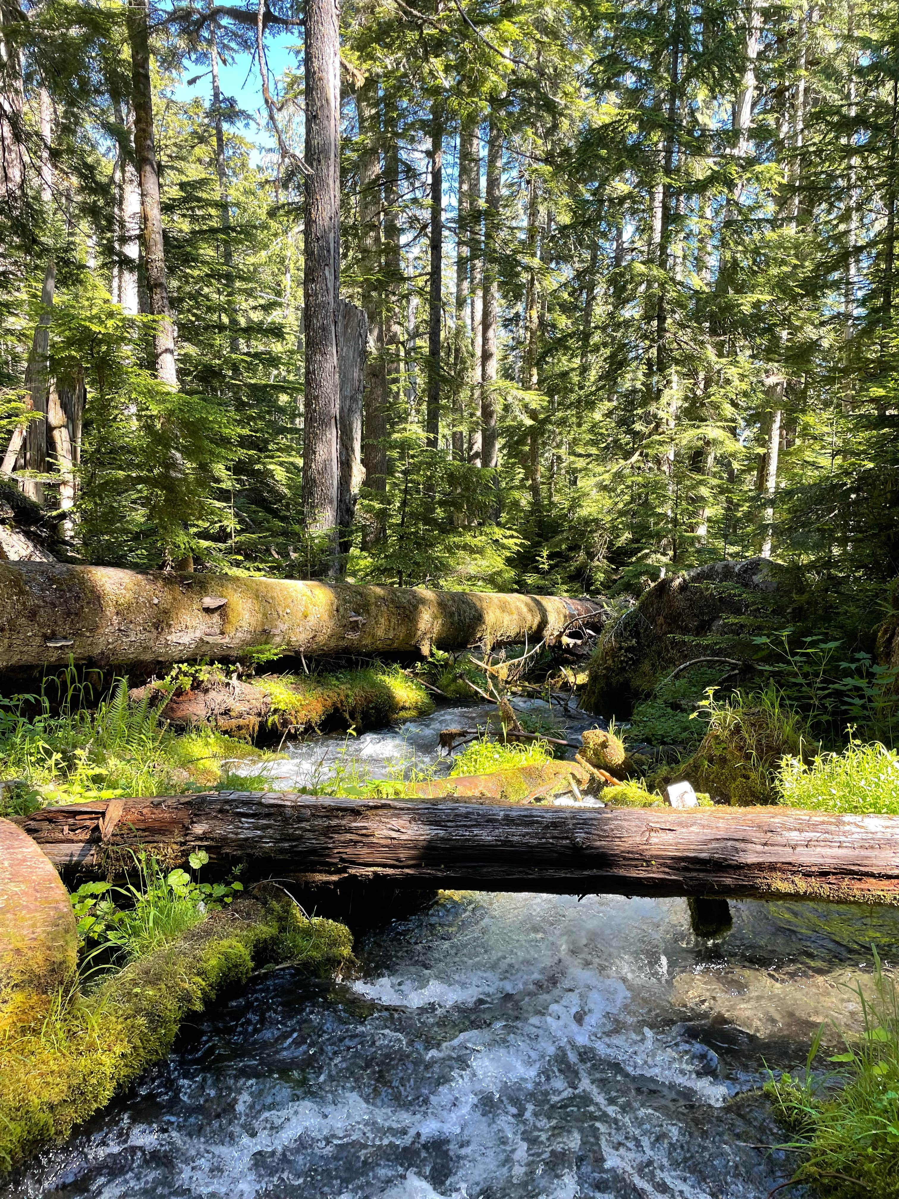 Lake Angeles — Olympic National Park