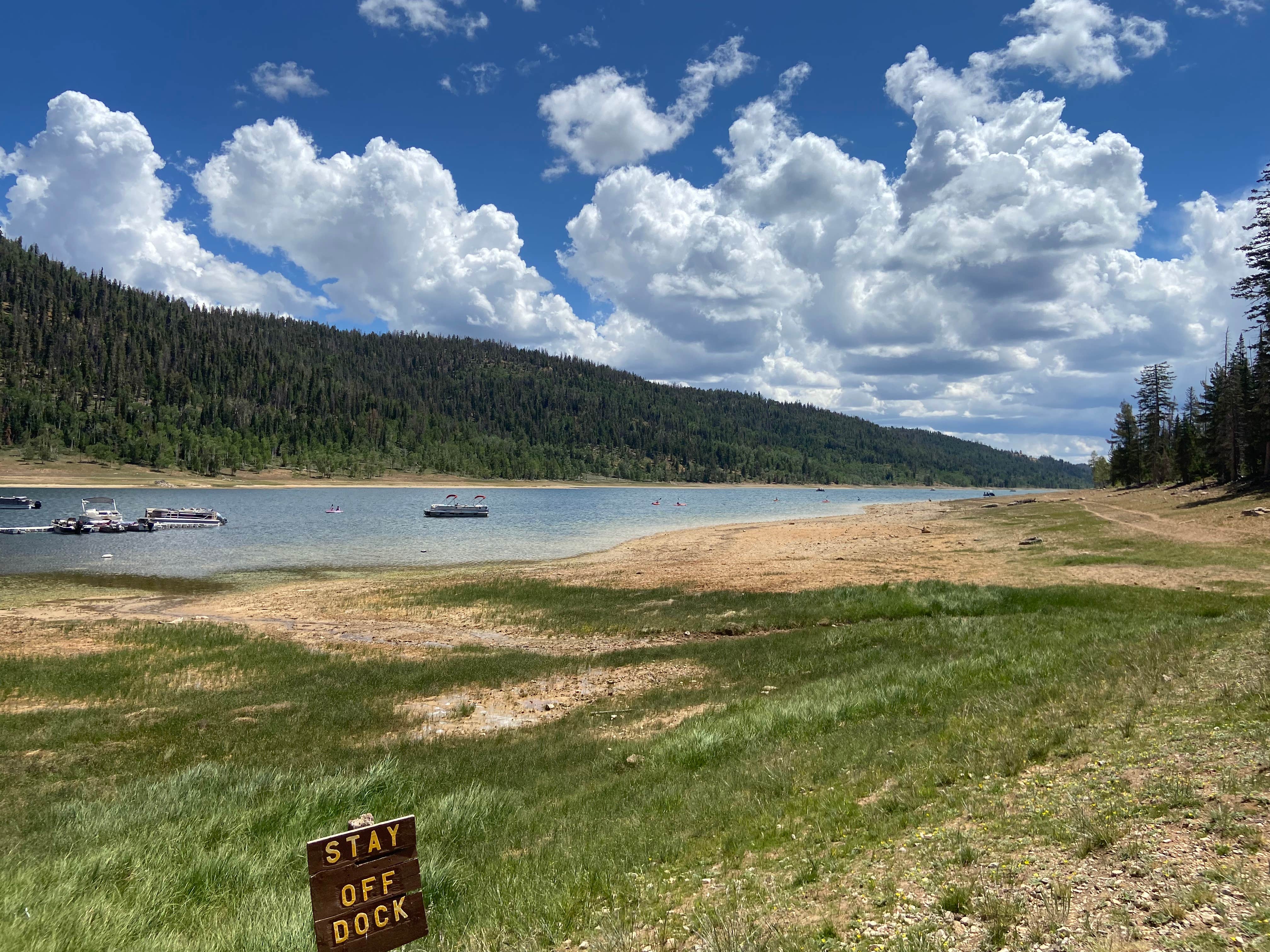 Navajo Lake Campground The Dyrt