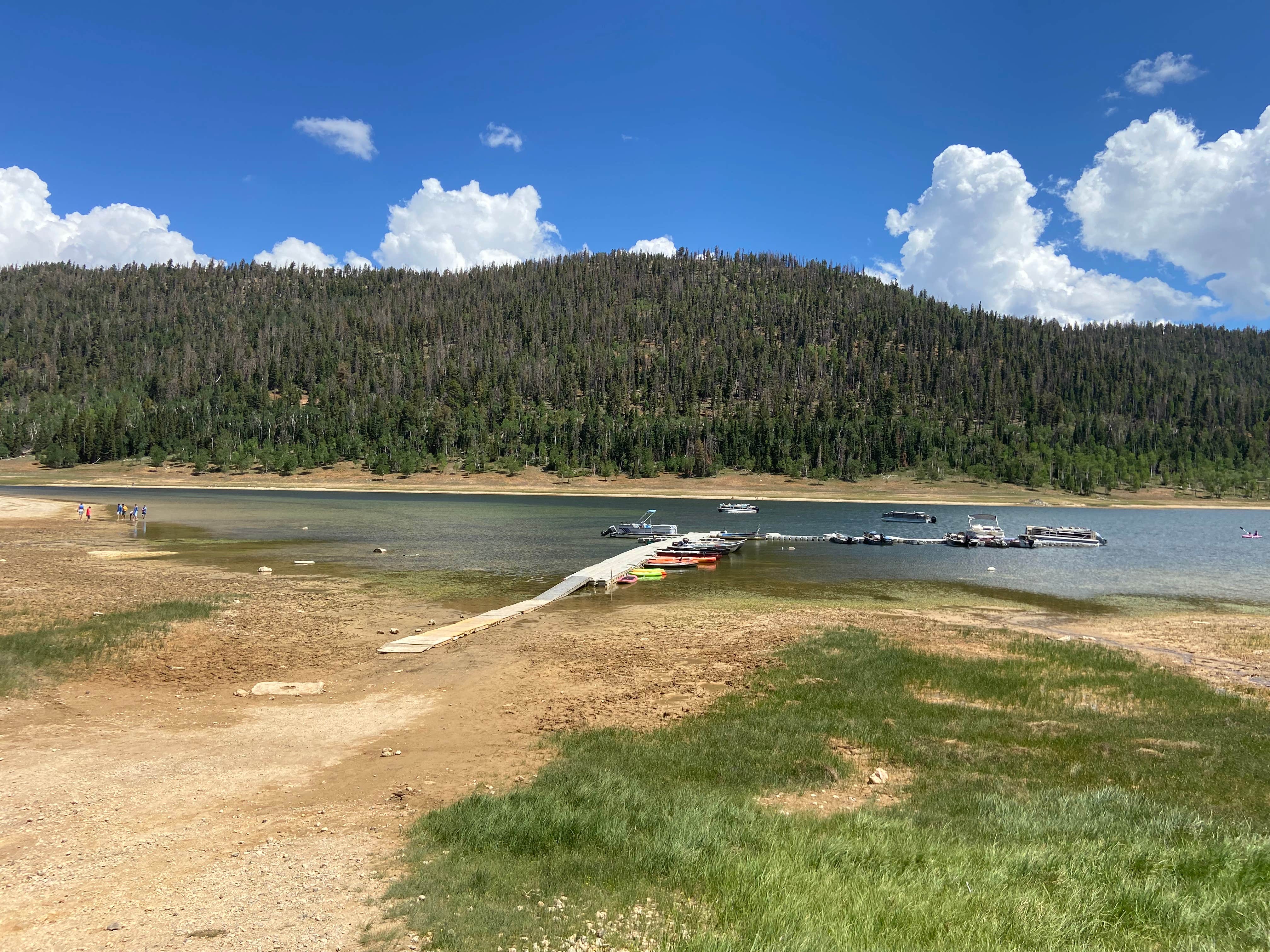 Navajo Lake Campground The Dyrt