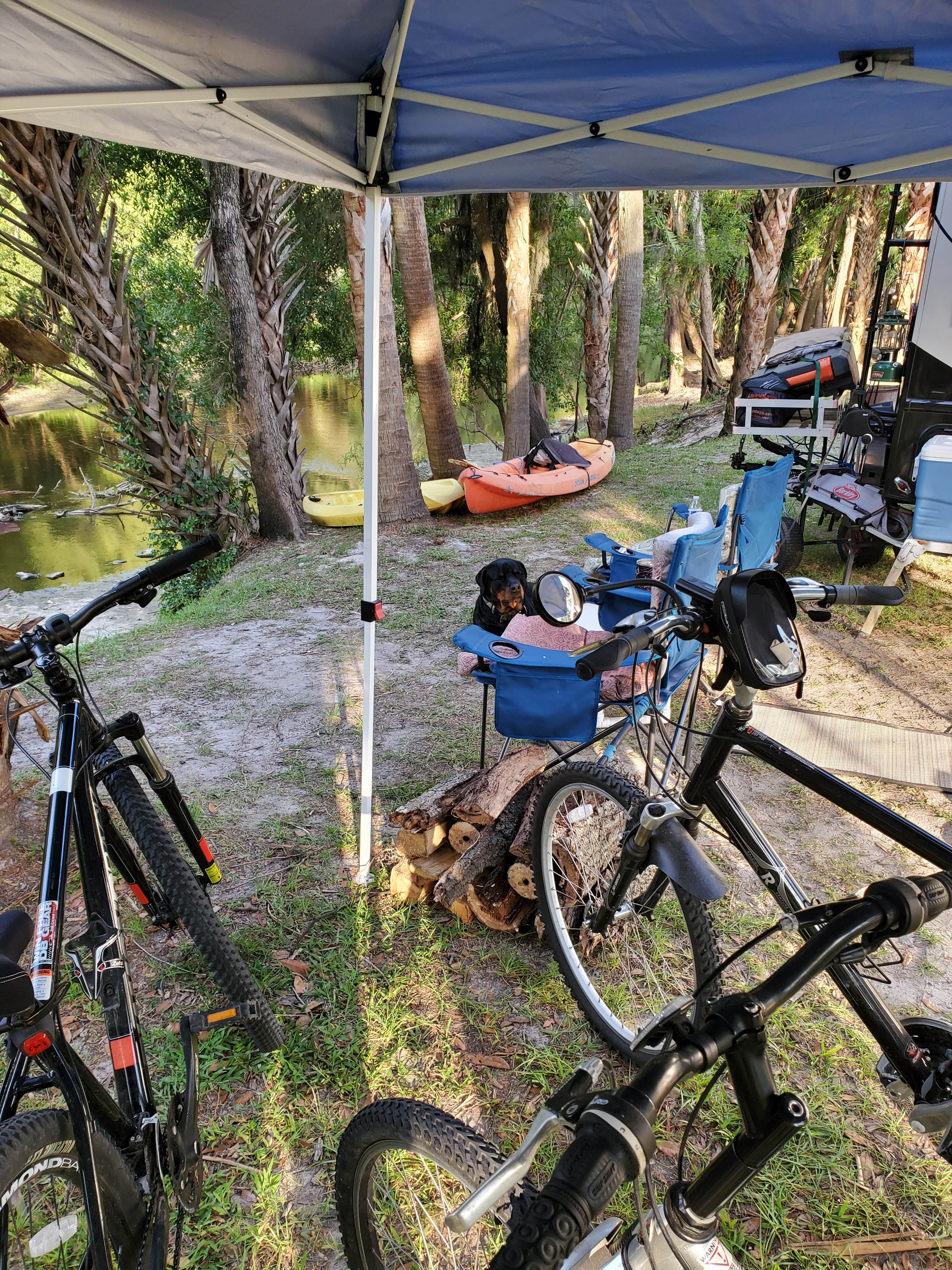 Peace River RV & Camping Resort The Dyrt