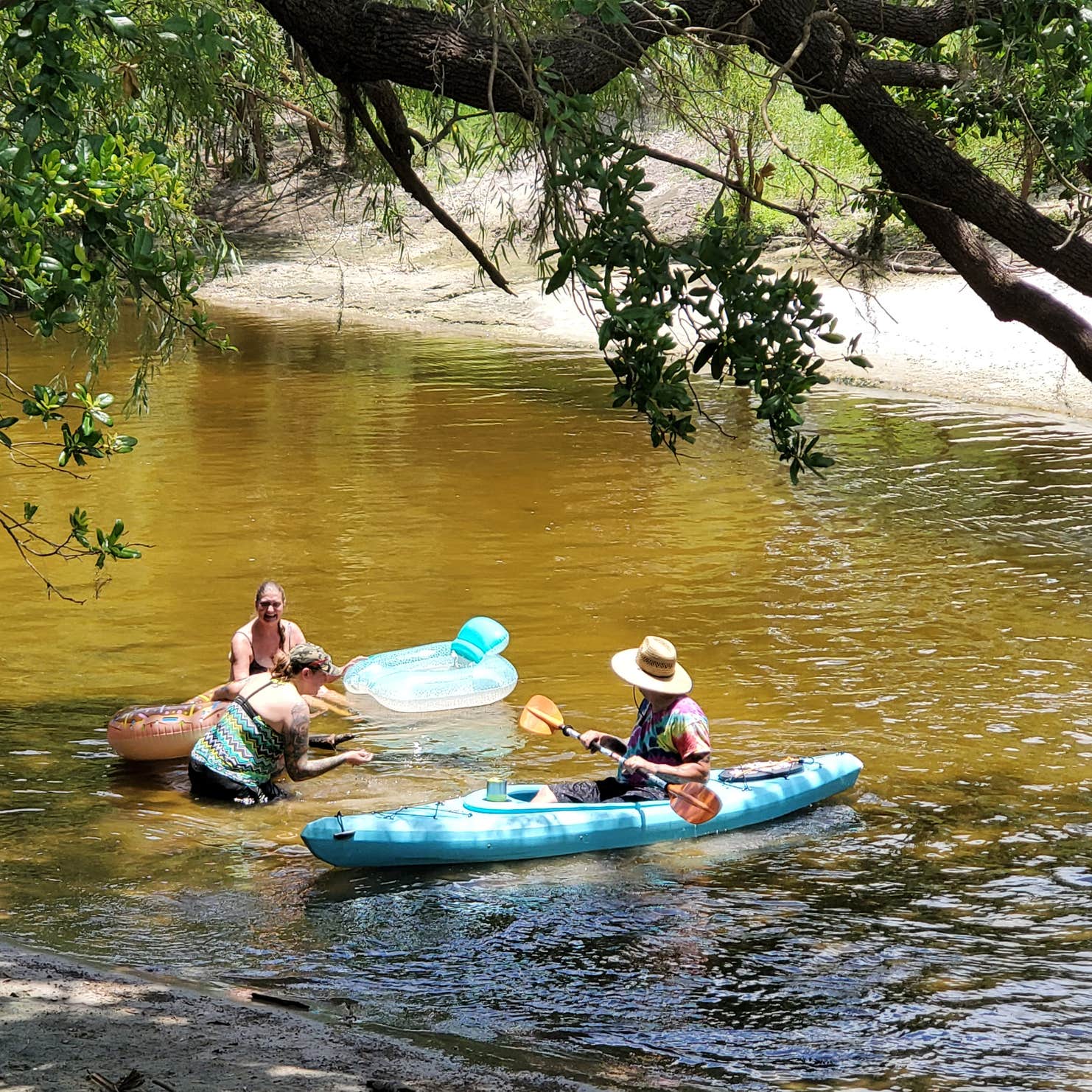 Peace River RV & Camping Resort | The Dyrt