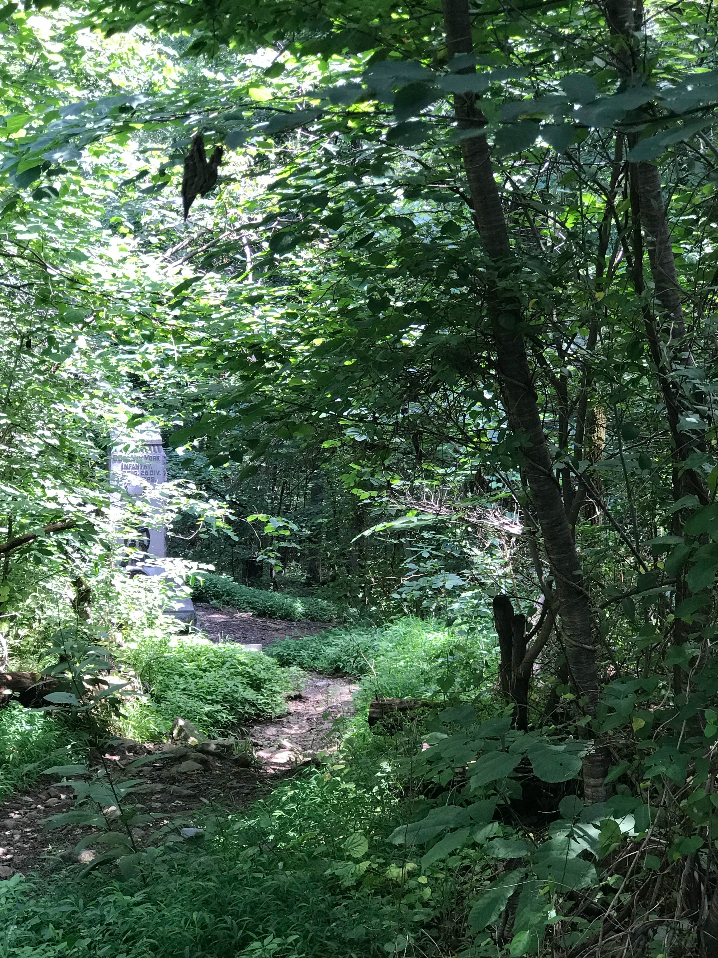 Camper-submitted photo at Pinchot State Park Campground near Peach Glen, PA