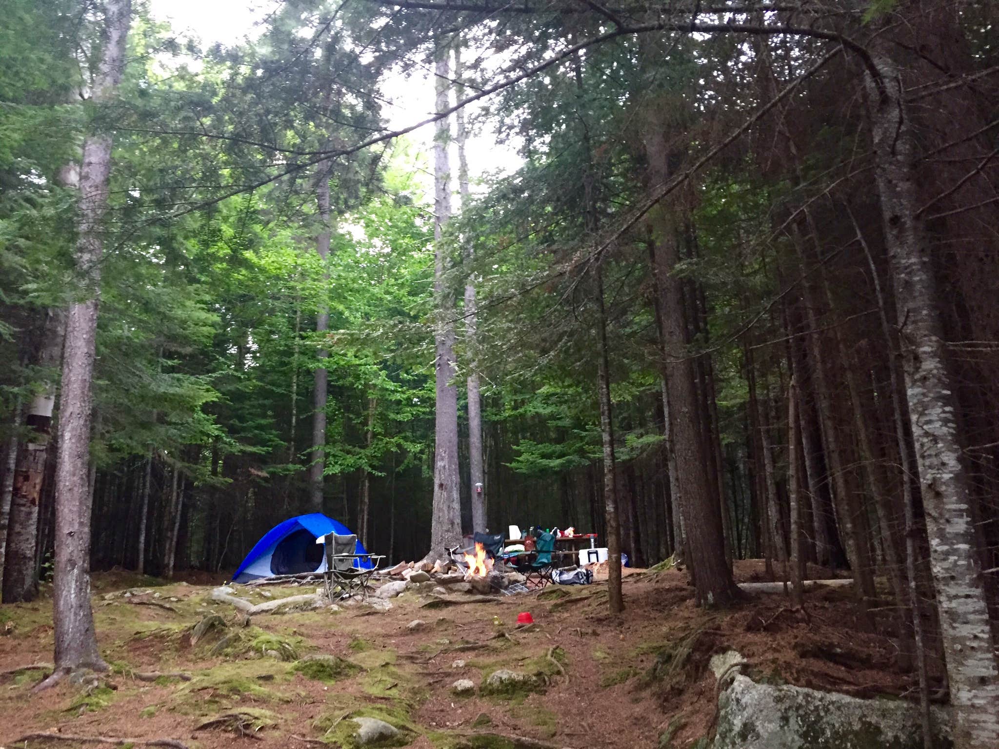 Emily R.'s photo at Stephen Phillips Memorial Preserve Wilderness near Carrabassett Valley, ME