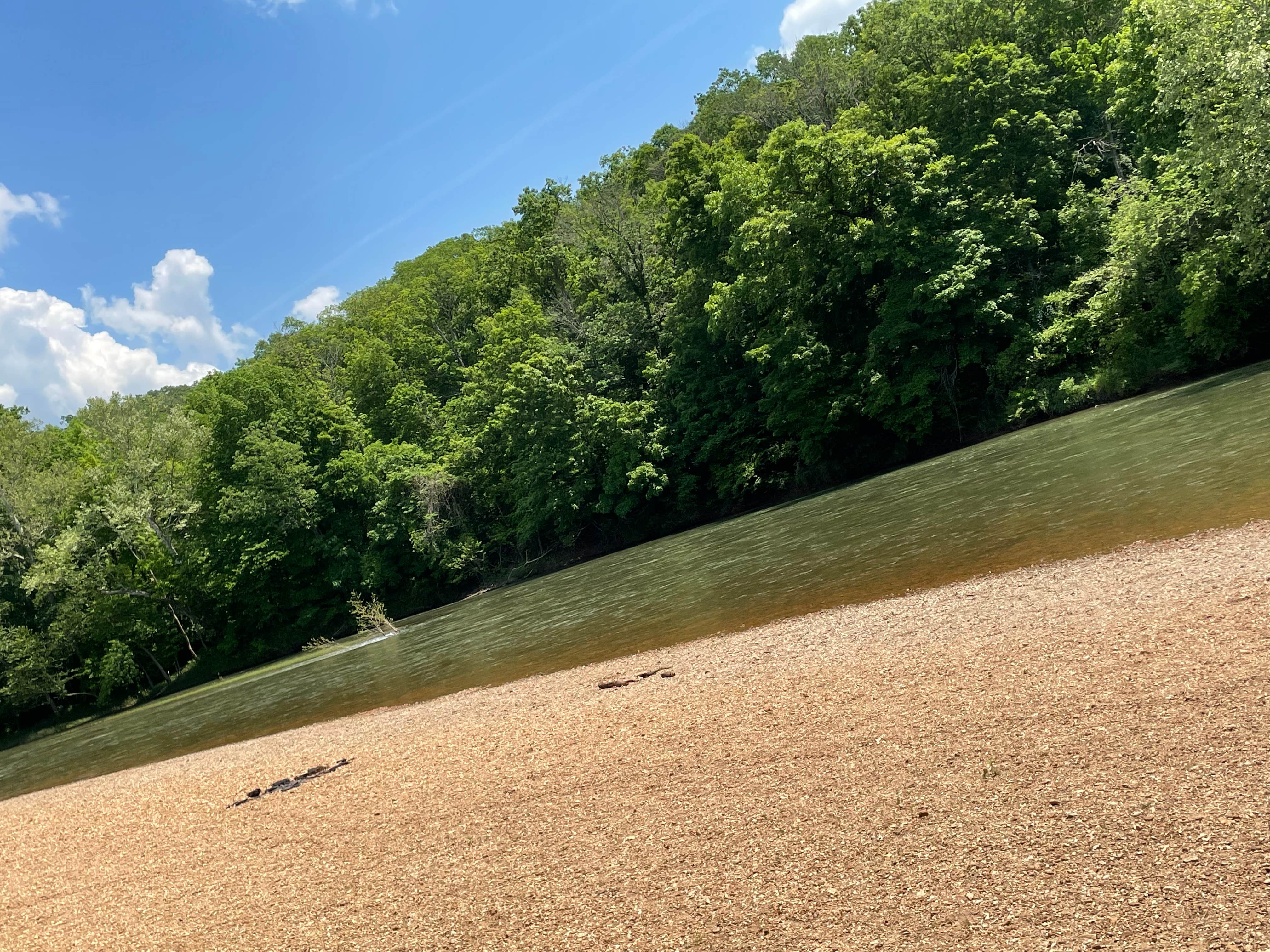 Camper submitted image from Meramec Caverns Natural Campground - 4